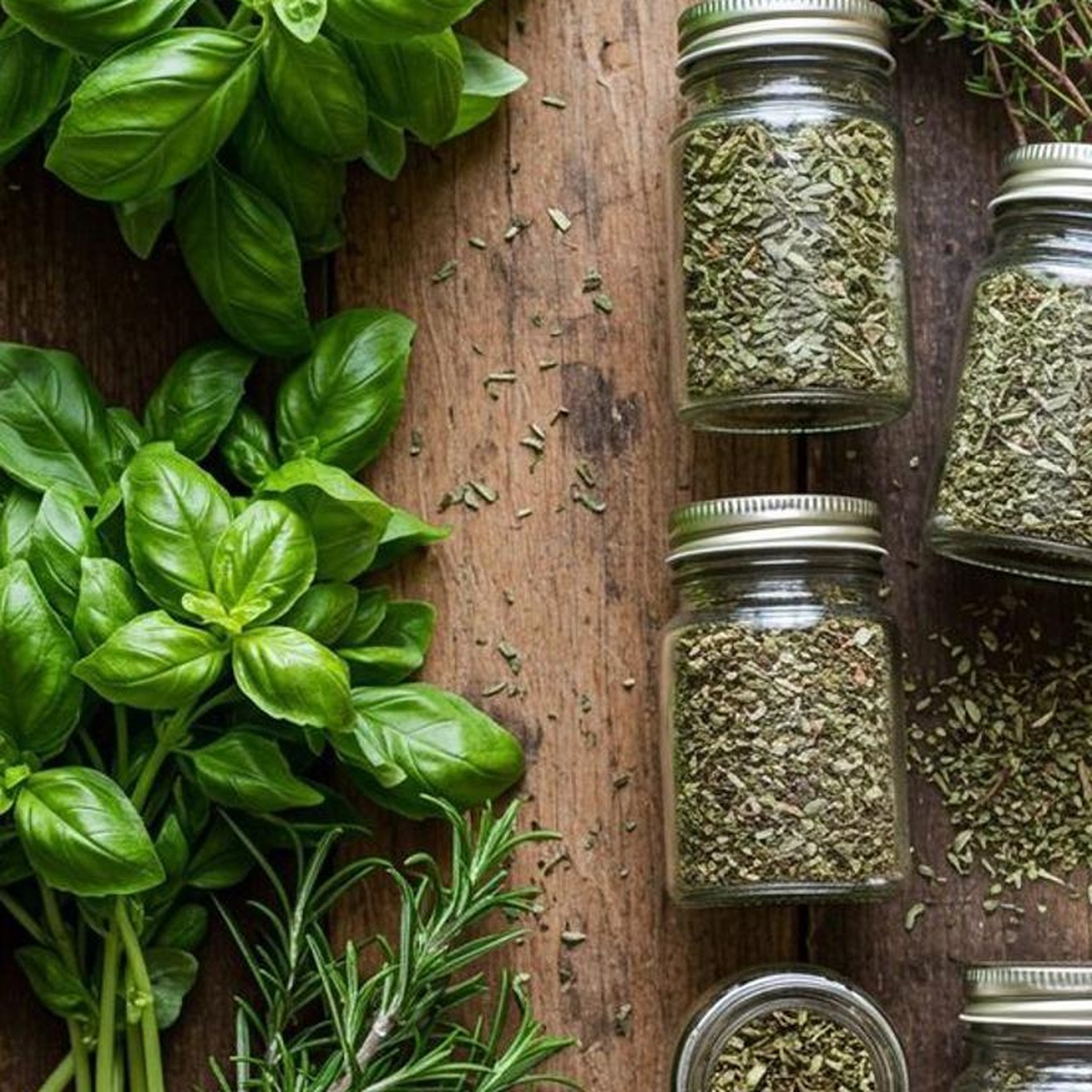 image-showing-dry-herbs-in-storage-containers-and-fresh-leafy-herbs